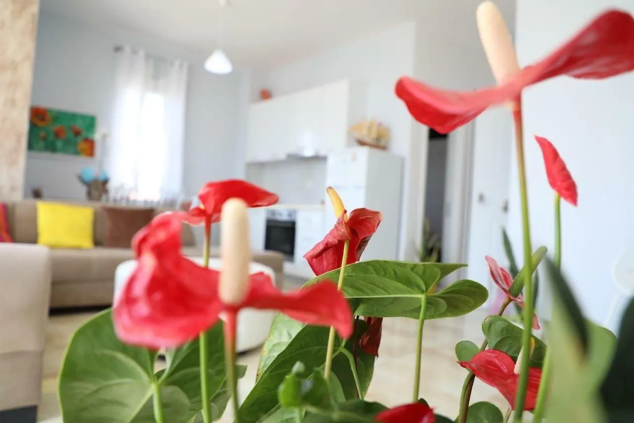 Hakunna Matata Residence & Apartments Vlore 0*,  Albania